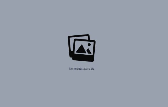 Ama Alt Text