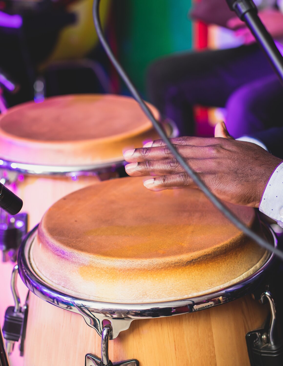 Latin-Inspired Performances on the Danube