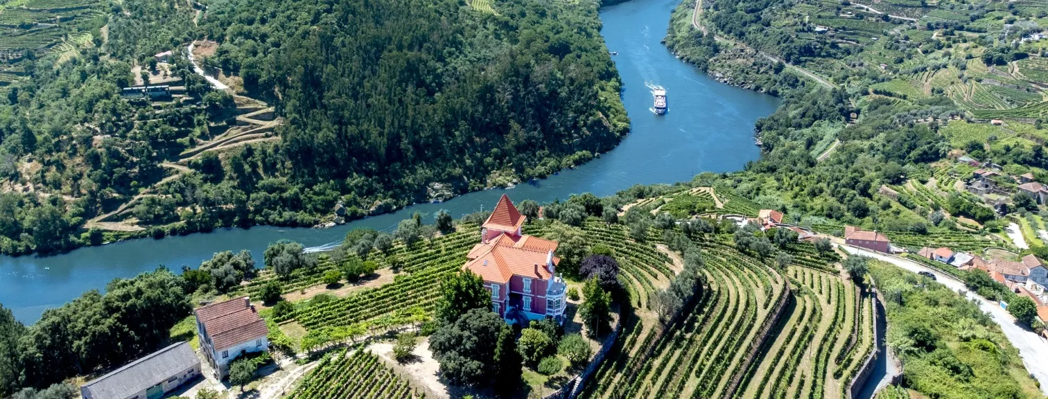 Aerial view of the Douro Valley