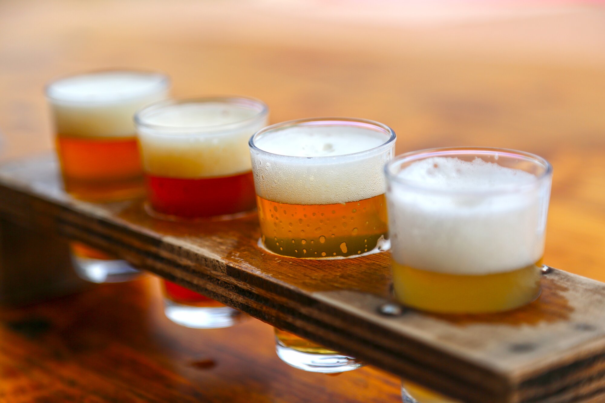Group of people at a beer tasting clinking their glasses together is Düsseldorf, Germany
