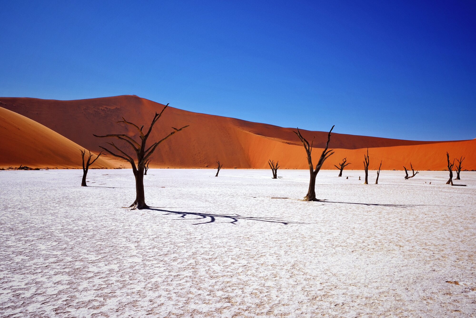 Guided Nature Drive in the NamibRand Reserve