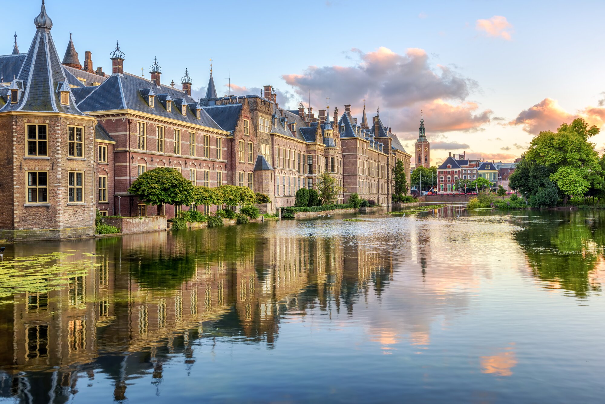 The Hague
