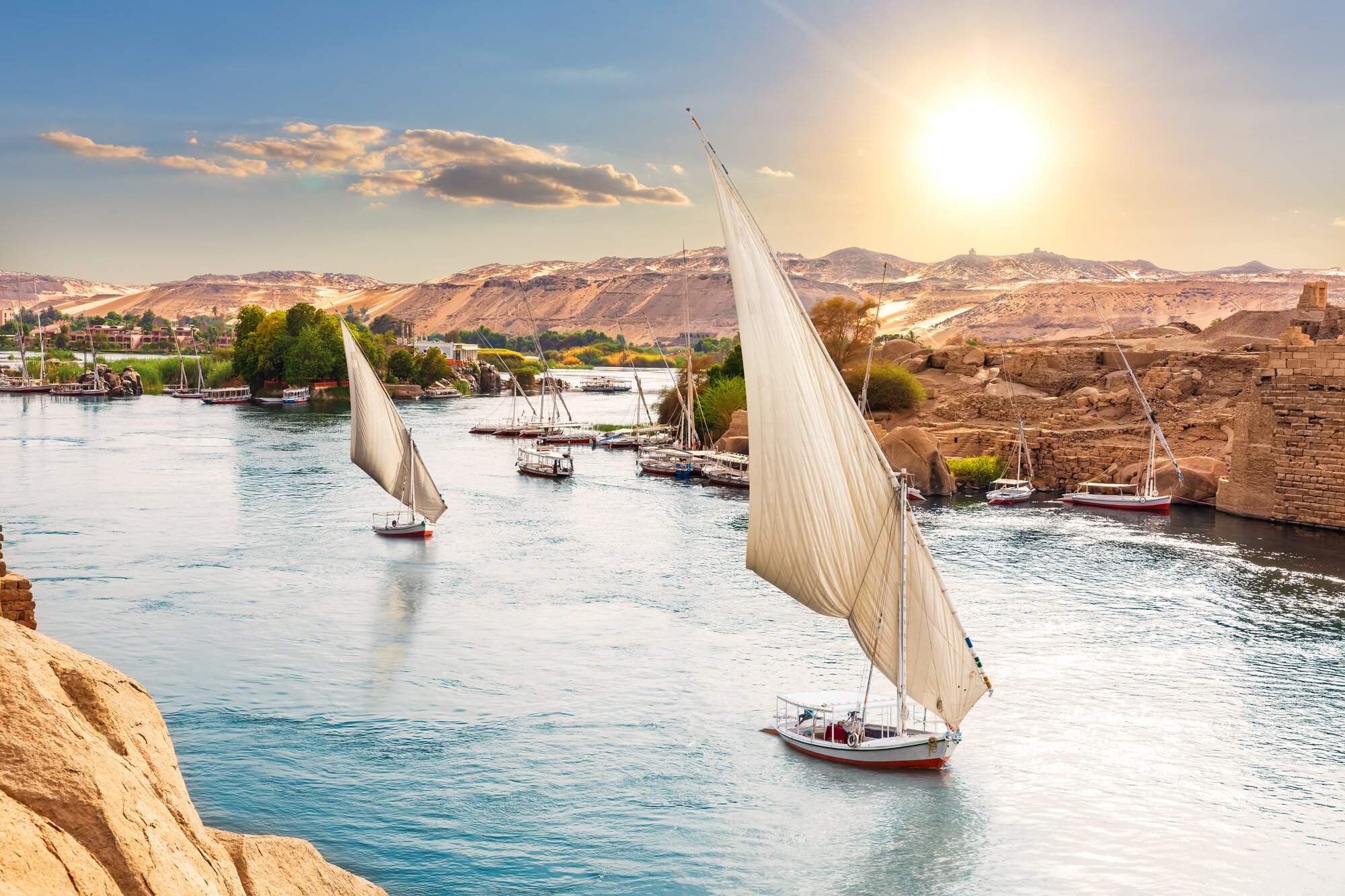 Sail on a Traditional Felucca