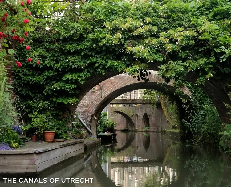 The canals of Utrecht
