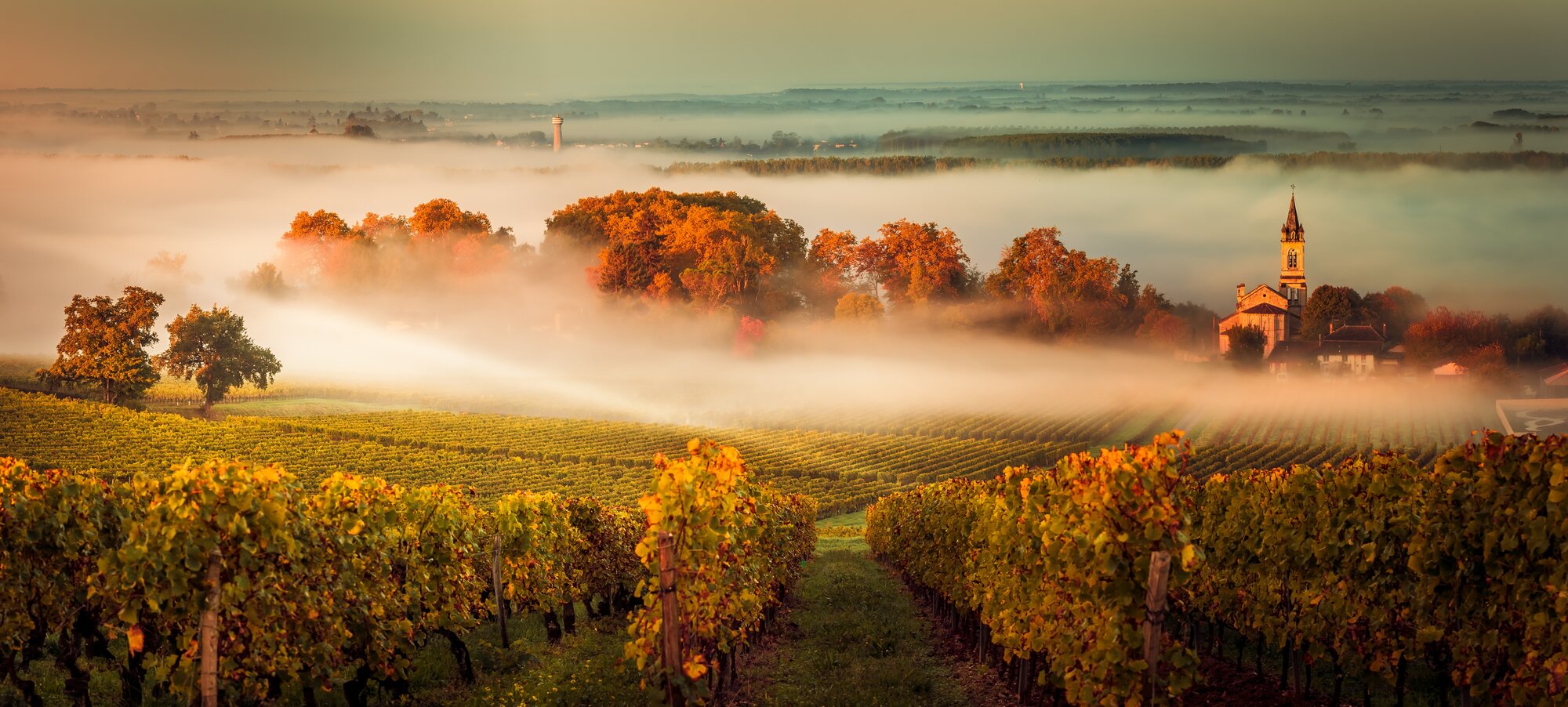 Taste of Bordeaux Is Named for Wine. It's Built for Everything Else Too. 