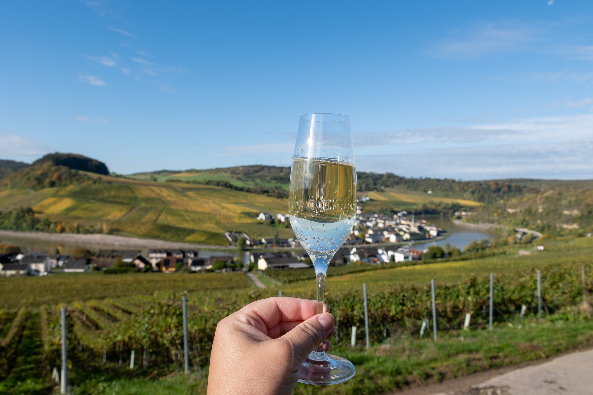 Tasting of sparkling white wine, traditional champagne method making of cremant in caves on Moselle river valley in Luxembourg, glass of wine and view on terraced vineyards