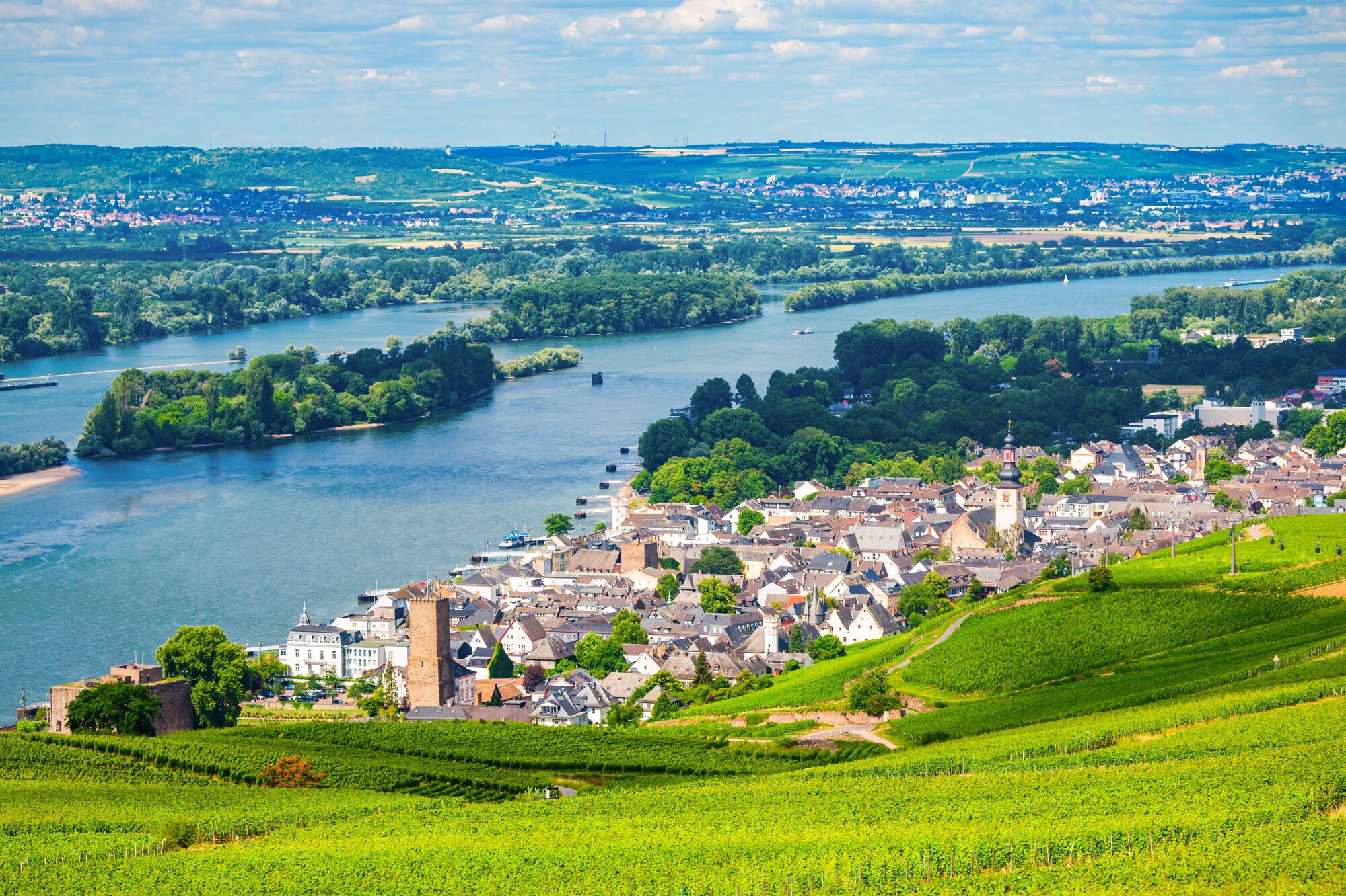 Vineyards in Rudesheim