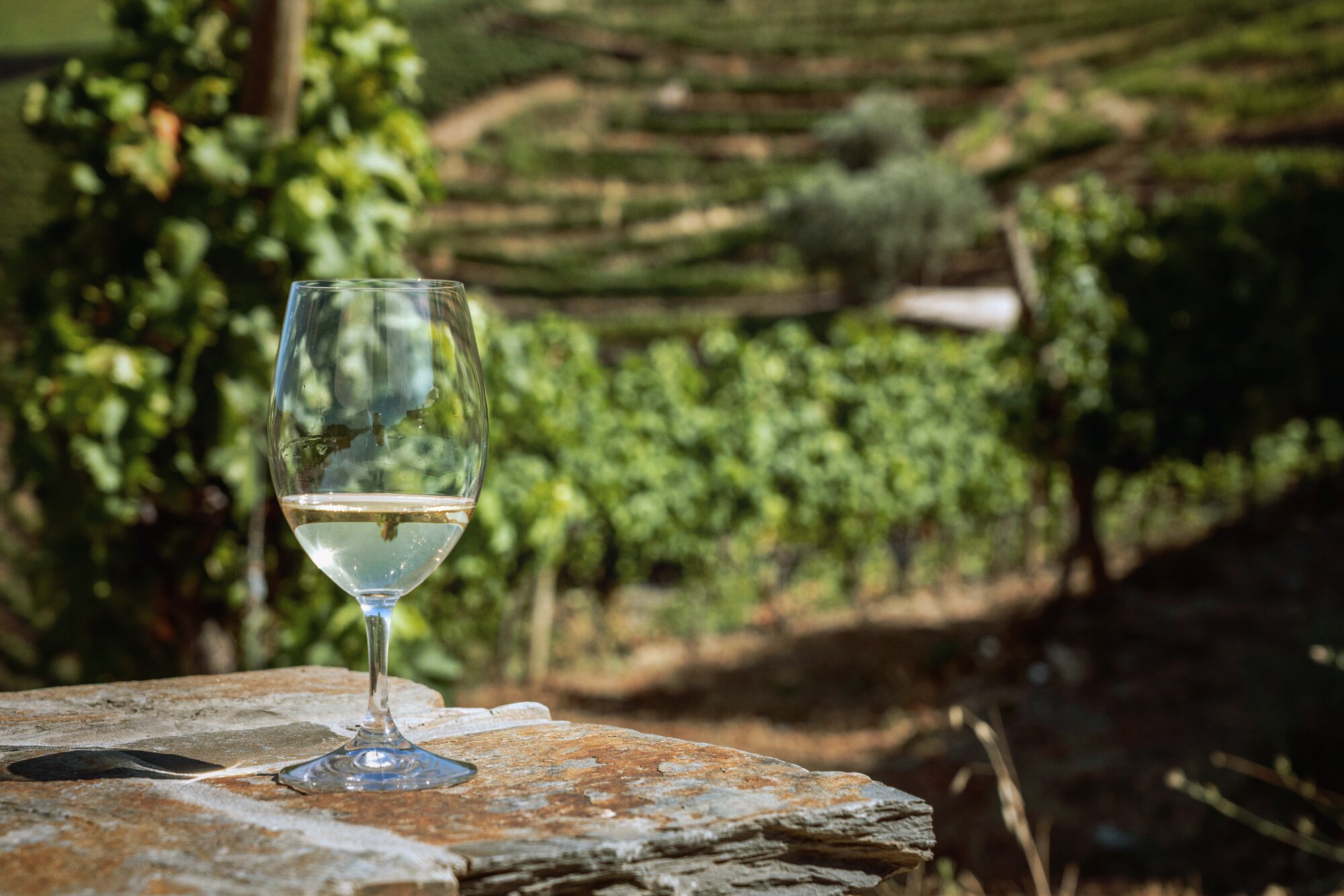 Specialty Dining Experience at a Local Quinta