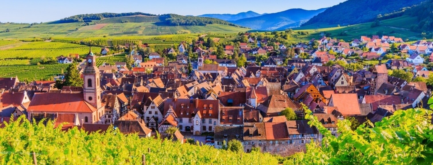 Landscape with vineyards near the historic village