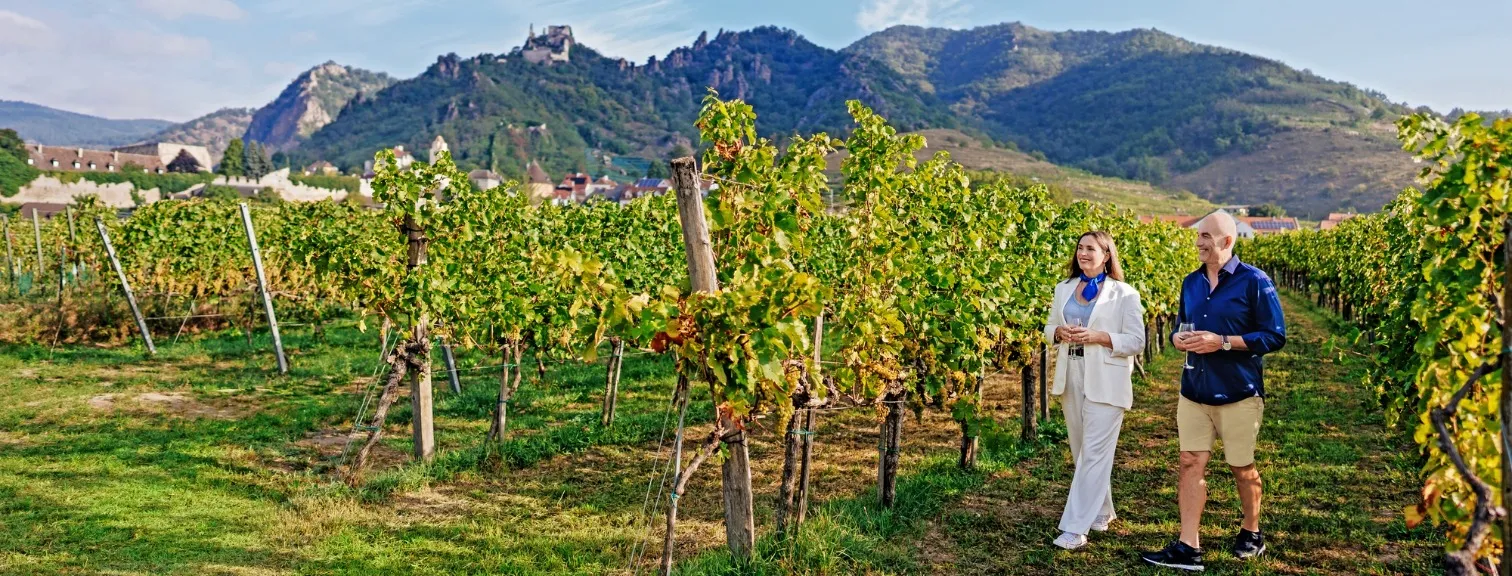 austria durnstein wine ncouple in vineyard