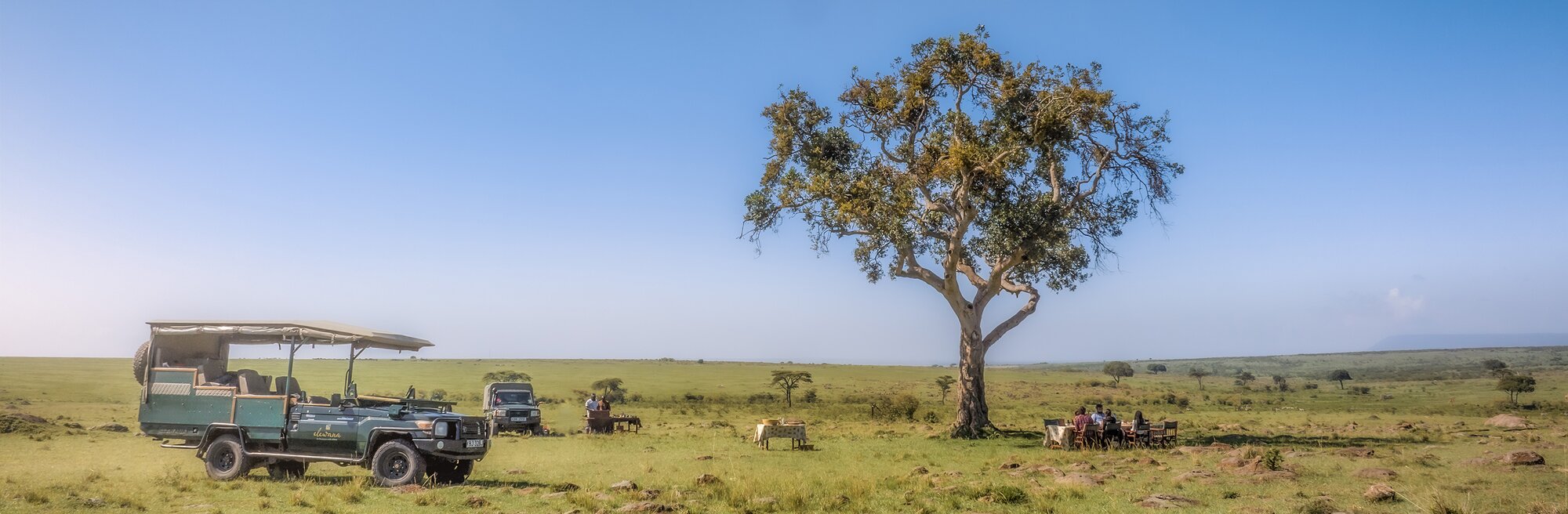 Elephants walking along water bank in Botswana