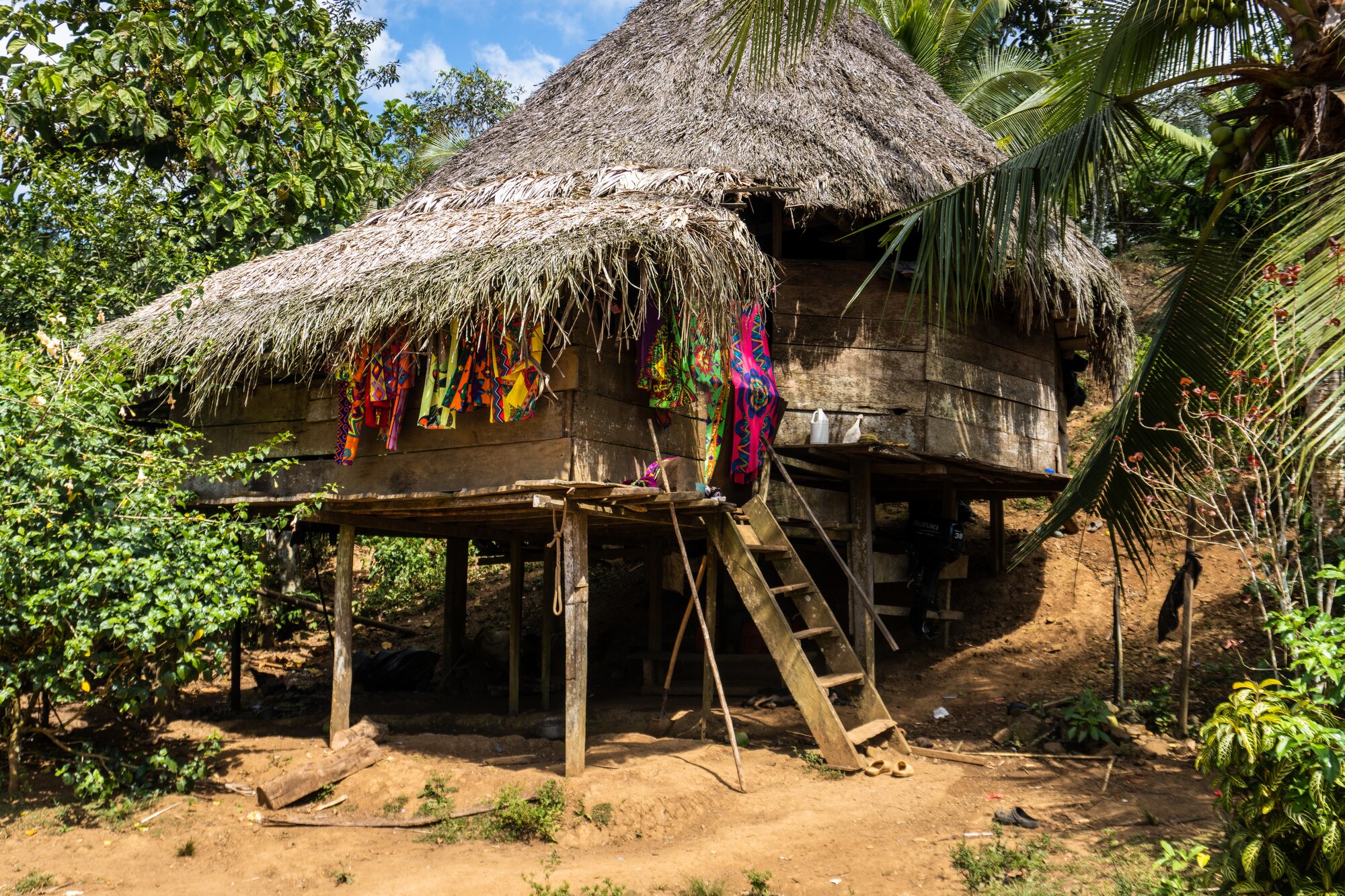 Embera Puru Embera village in Panama. A traditional Emberá house is an open-air dwelling raised off the ground on stilts, thatched roofing made from palm leaves. Colorful paruma cloth and hibiscus.