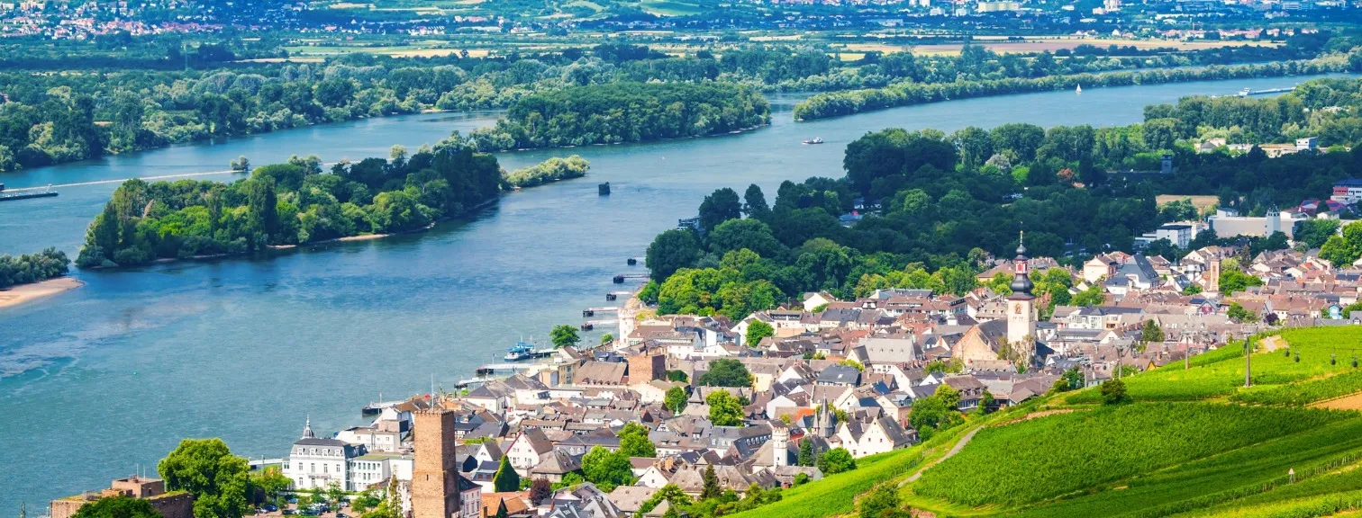 Vineyards in Rudesheim