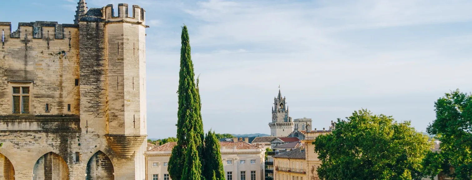City Crowd in Avignon France