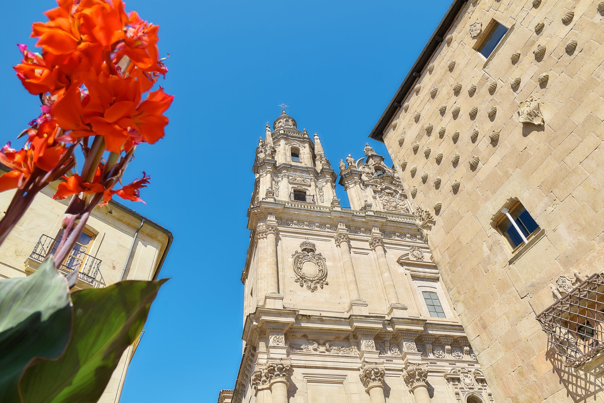Day Trip to Salamanca, Spain