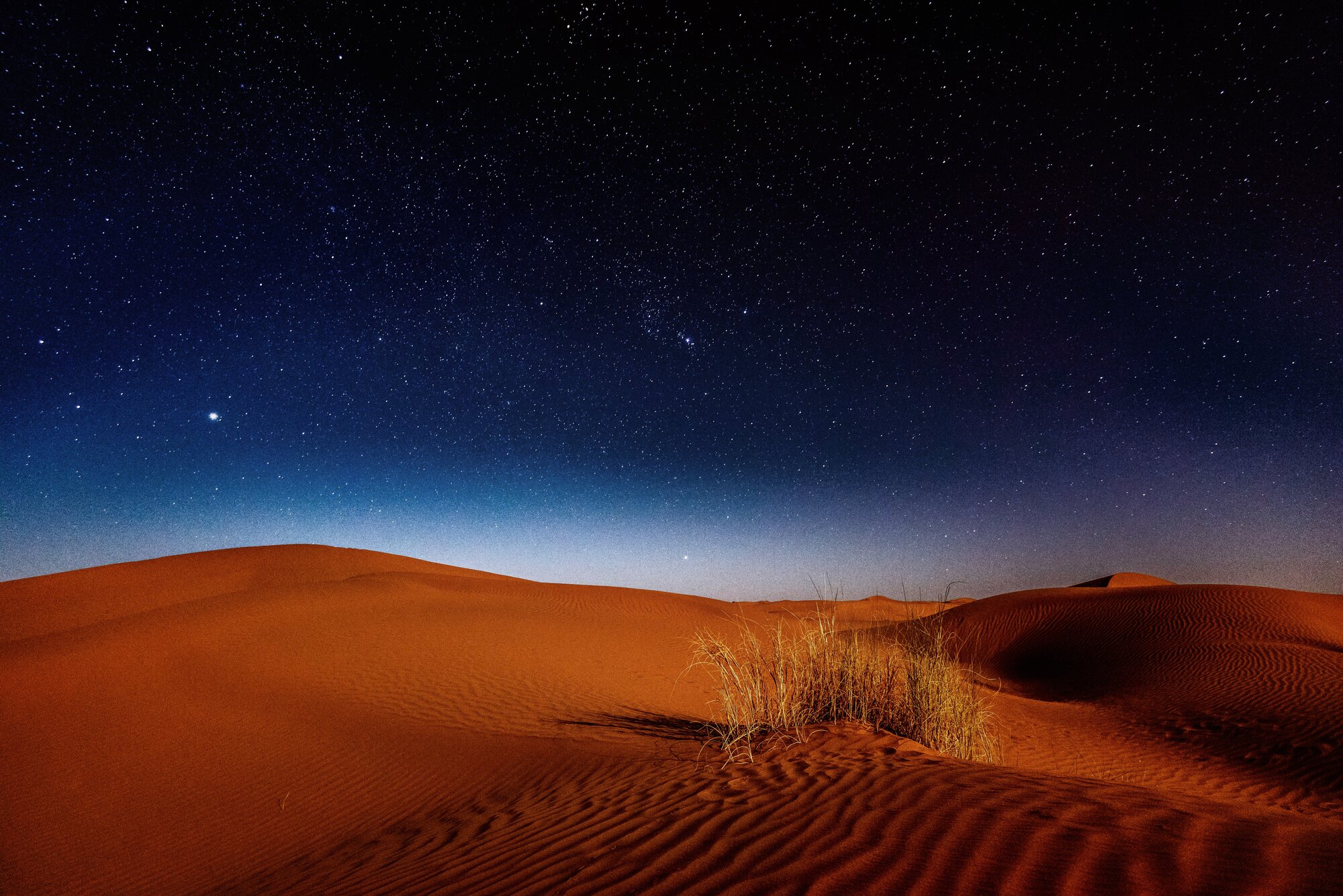 Desert Adventure Under the Stars