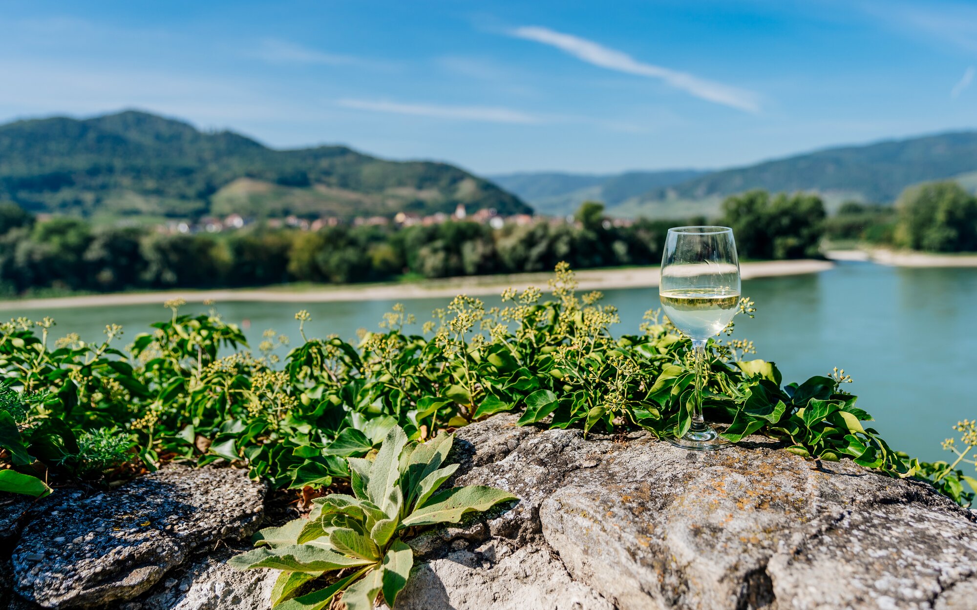 Dürnstein Walk and Wine Tasting, Wachau Valley