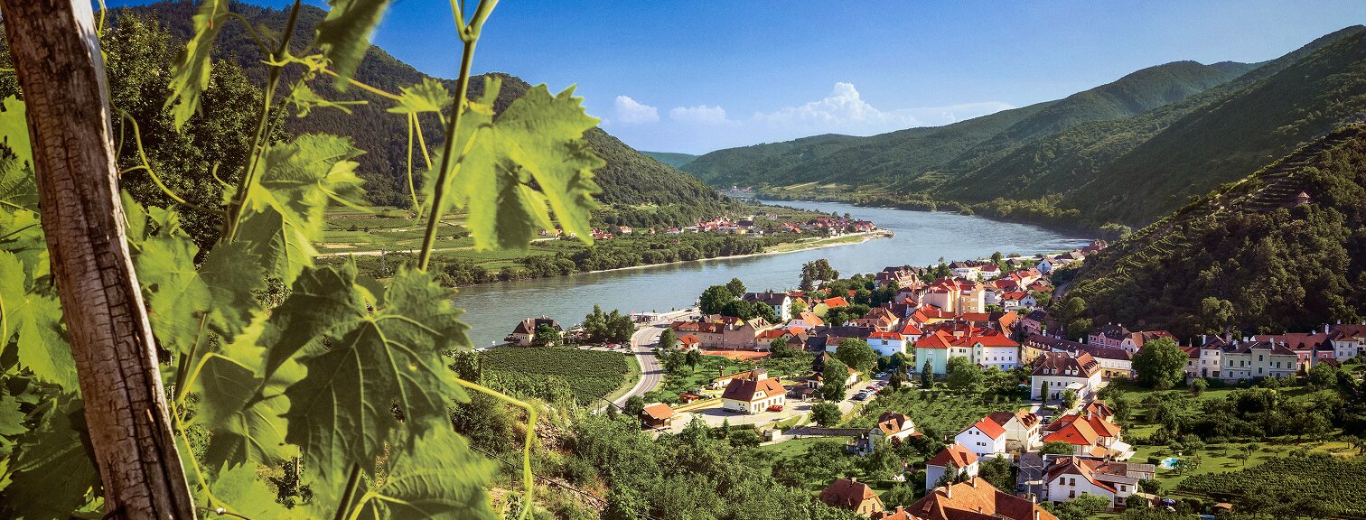 Danube Promo Block