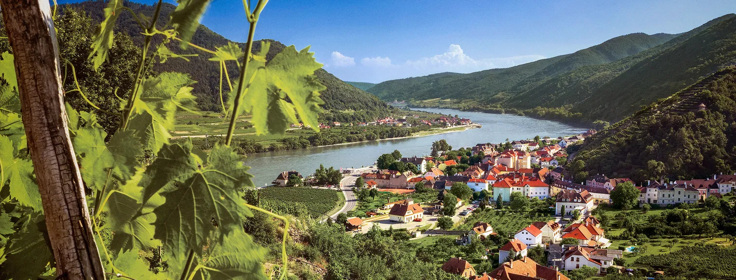 Danube Promo Block