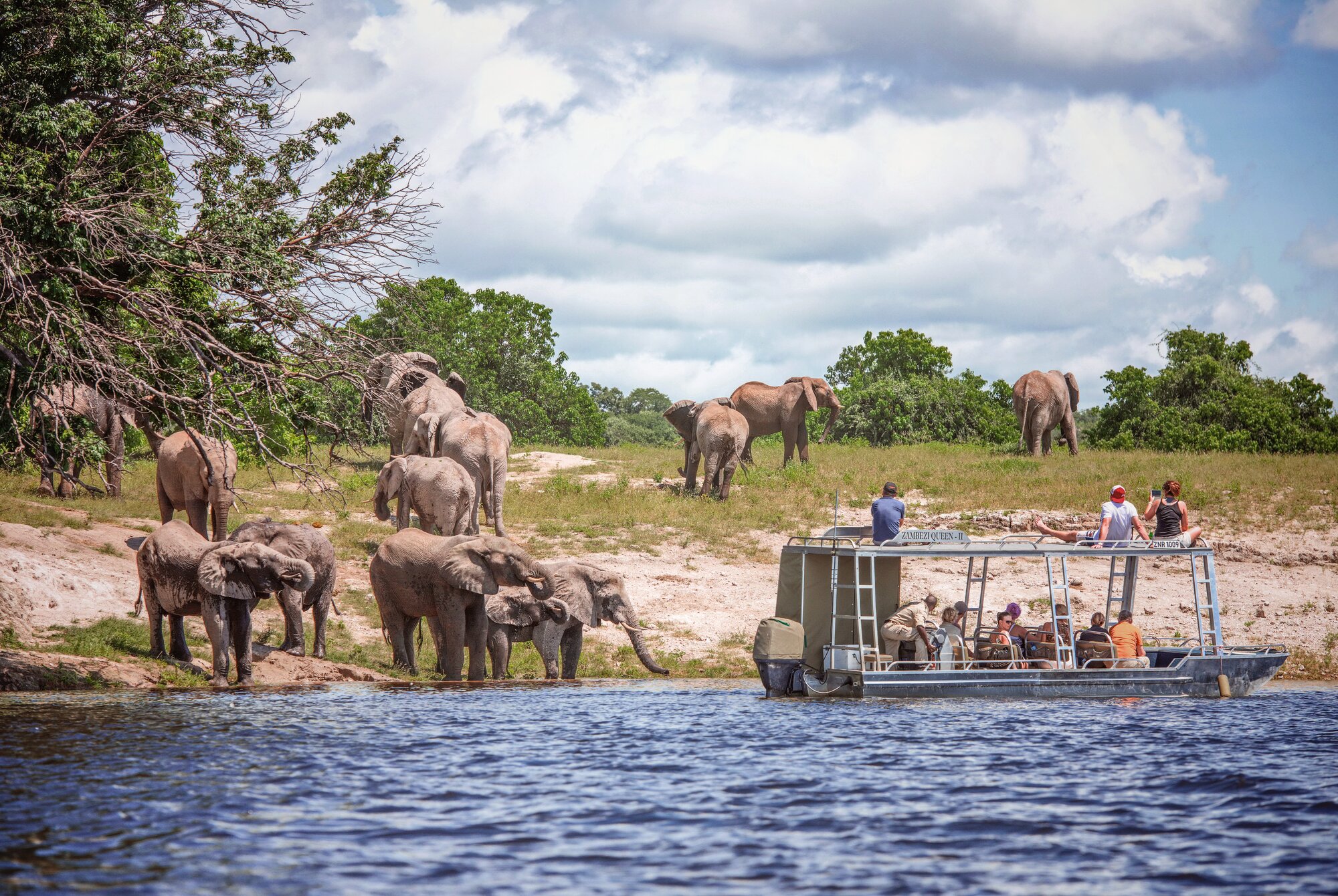 A Different View of Chobe: Meeting the Wildlife From the River 
