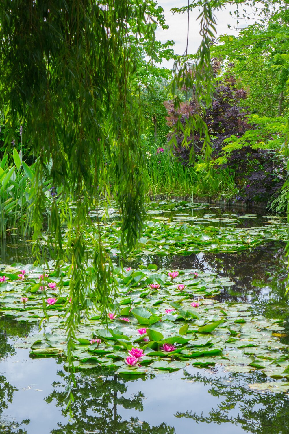 Visit Monet’s Home and Gardens in Giverny