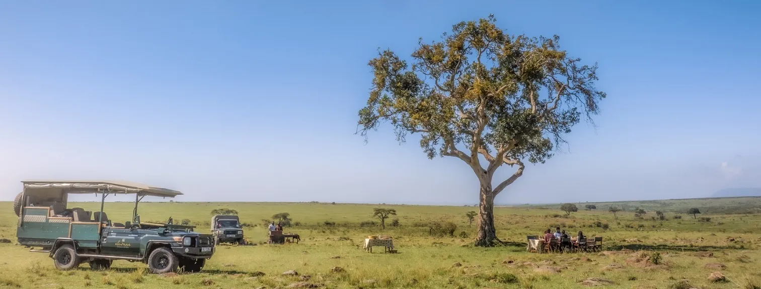 Elephants walking along water bank in Botswana