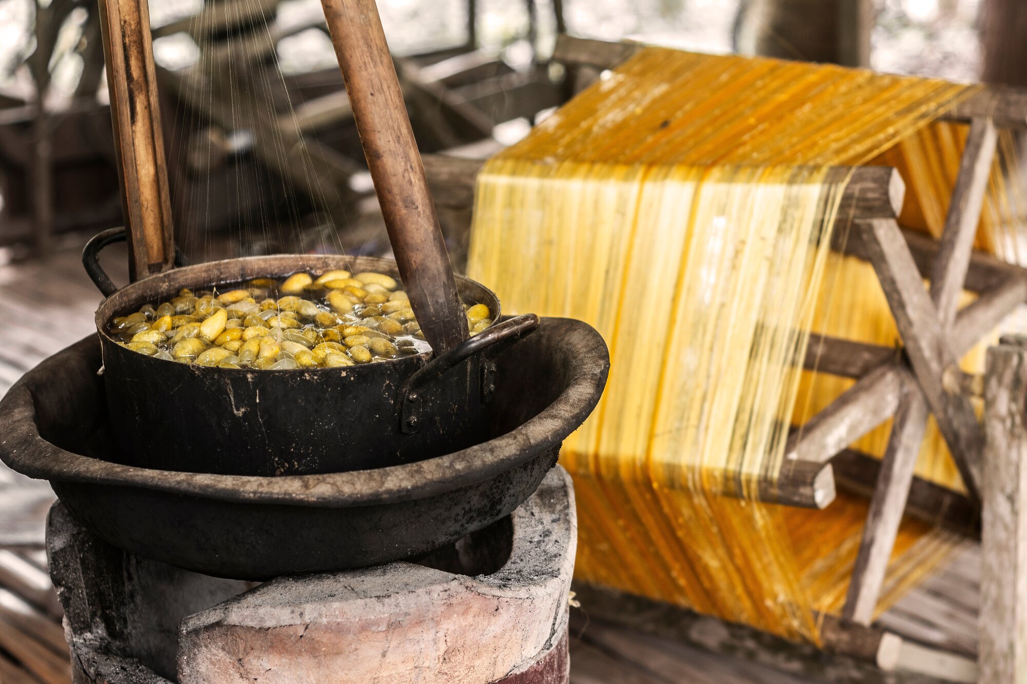 boiling silkworm cocoons traditional silk production method in cambodian farm