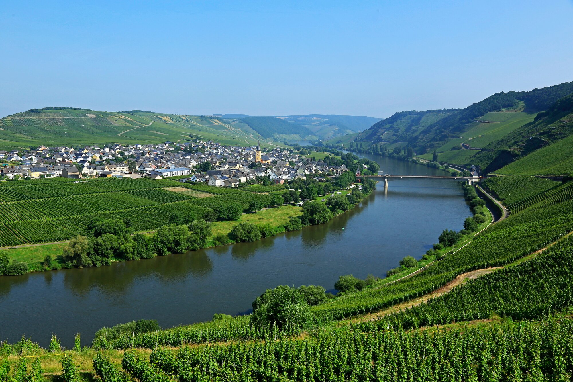 Wine Tasting in Bernkastel’s Vineyards
