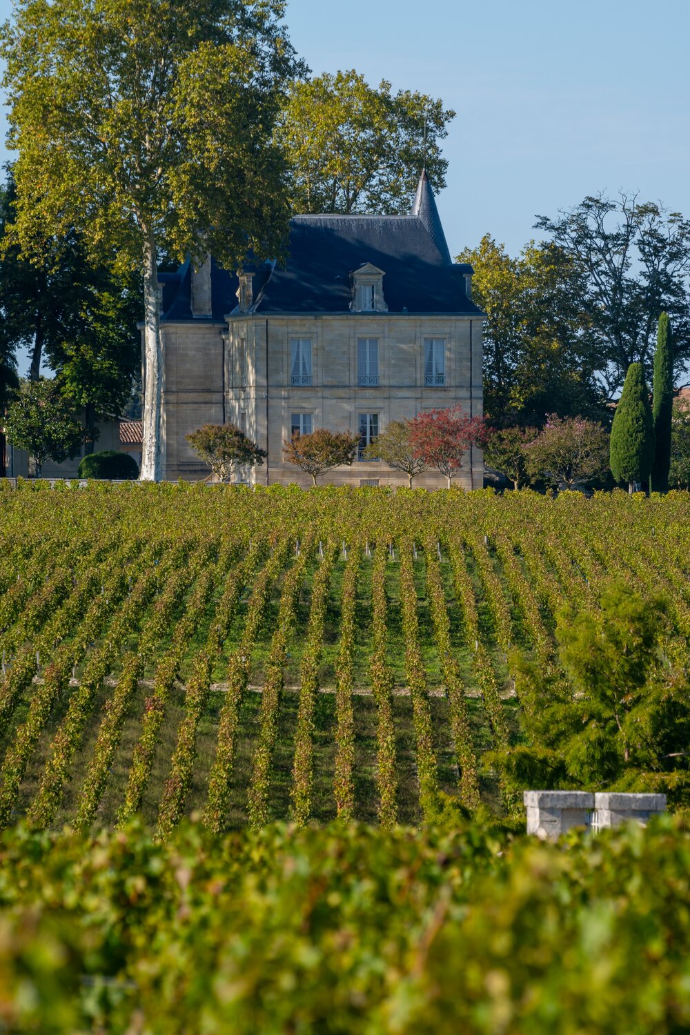 Wine Tasting at a Bordeaux Château