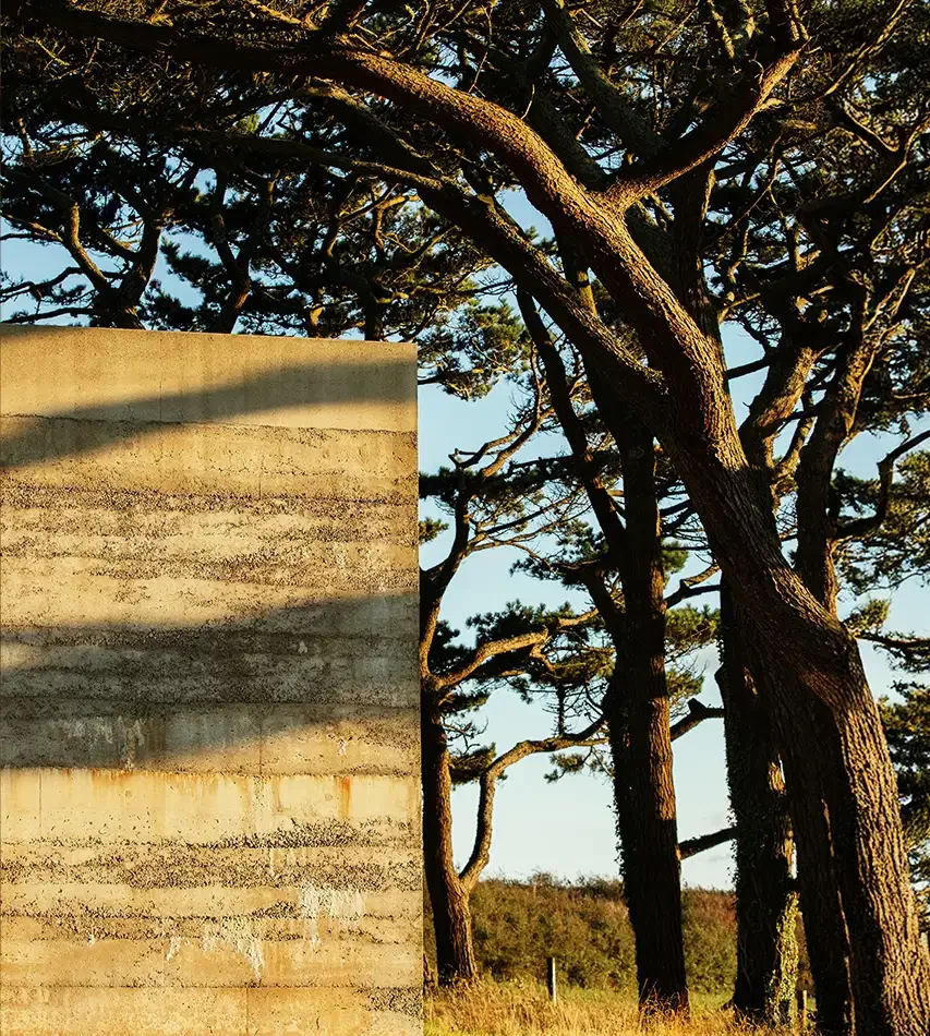 Spring '26 Collection