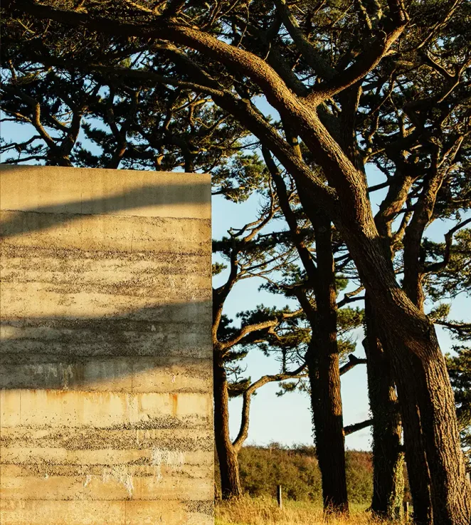 Spring '25 Collection