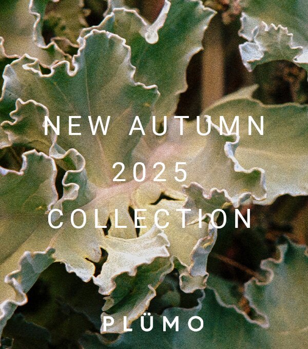 Autumn 2025 Collection