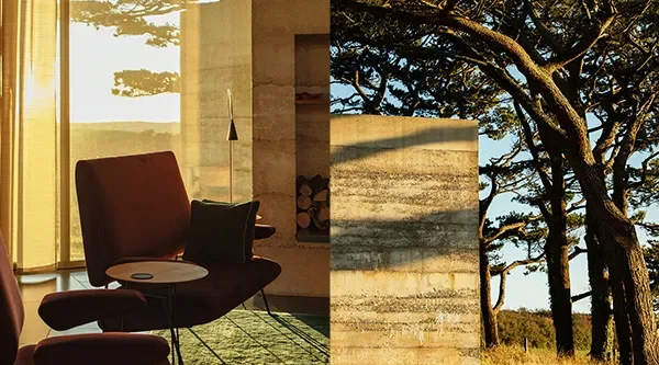 Spring '25 Collection