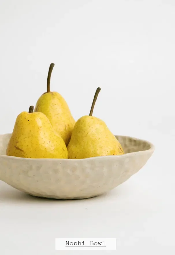 Noshi Bowl