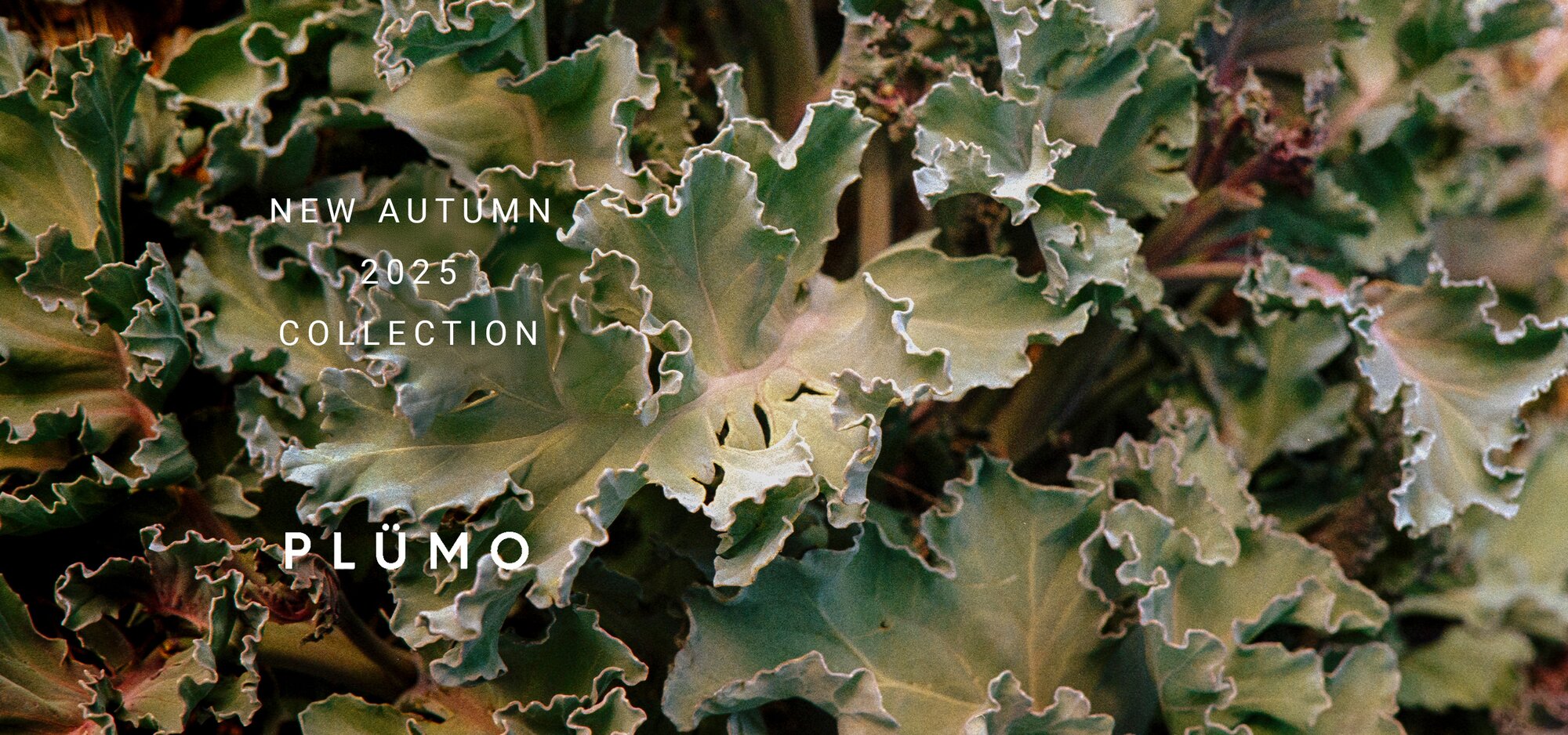 Autumn 2025 Collection