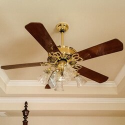 Lighting & Ceiling Fans