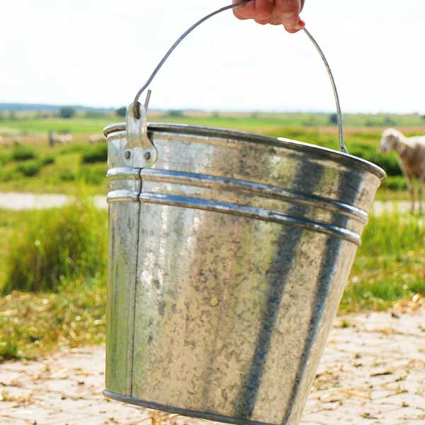 A farmer's hands holds a steel feed back by their side on their sheep farm.