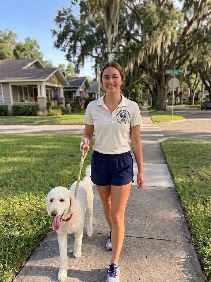 A Society Pet Care walker walking a white dog on a neighborhood sidewalk