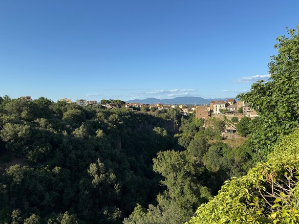 Catalano regio