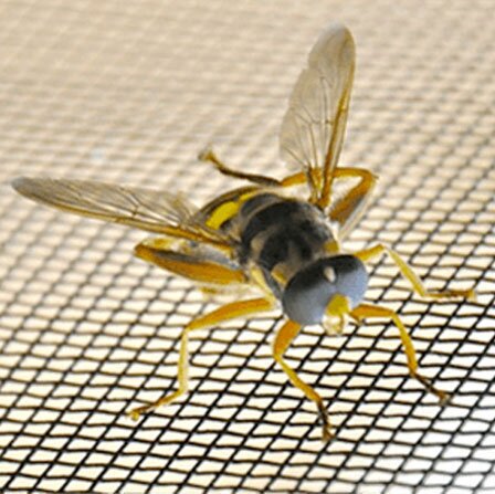 Installation guides and helpful resources