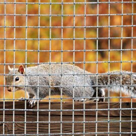 Diverse group of volunteers planting trees in community garden