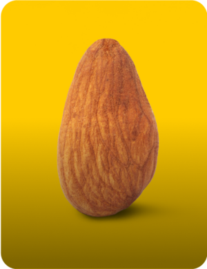 image of almonds