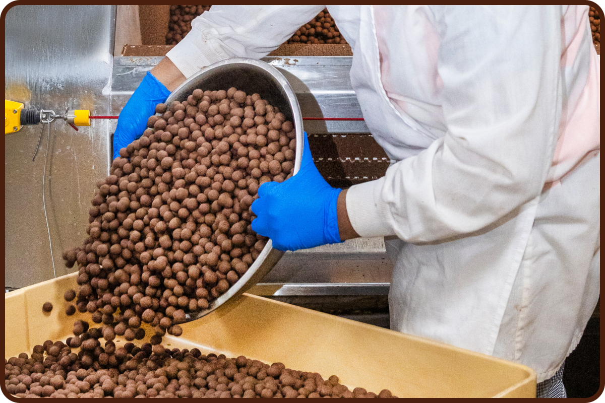 image of koppers chocolate roasting
