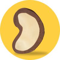 Chocolate Covered