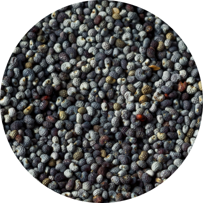 Chia Seeds