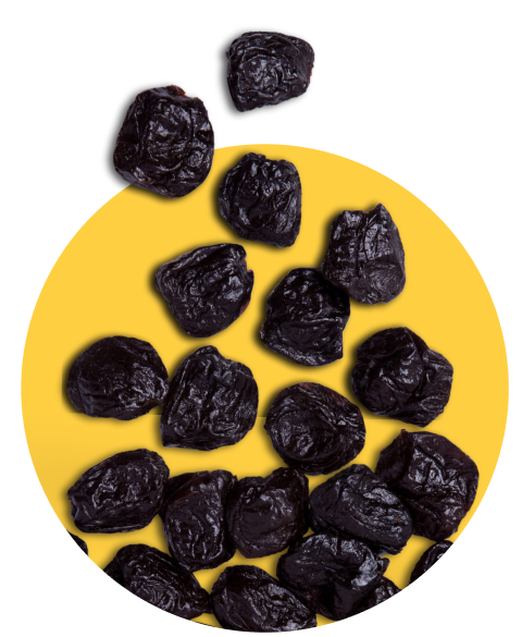 Fiber-Rich