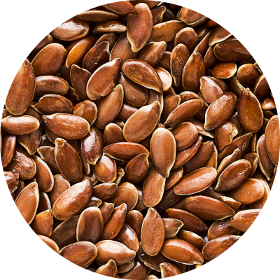 Flax Seeds