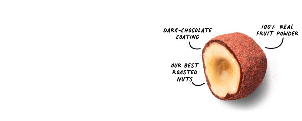 image of chocolate covered nut