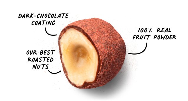 image of chocolate covered nut