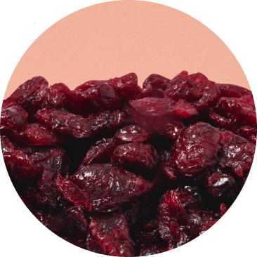 Dried Fruit